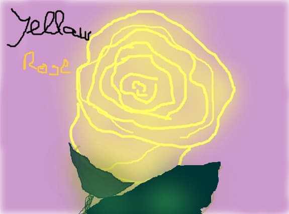yellow rose