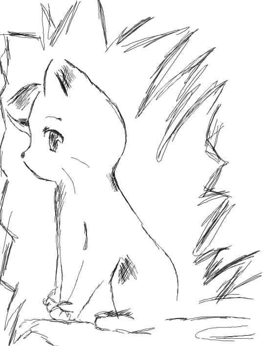 sketch