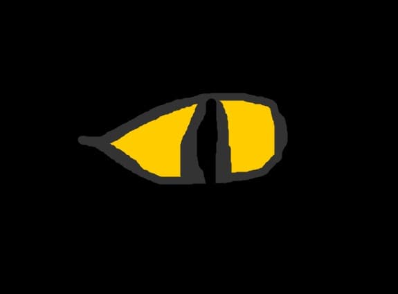 Ochi de pantera