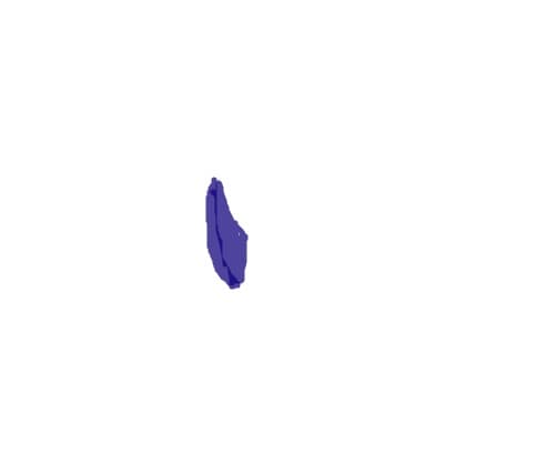 ochi