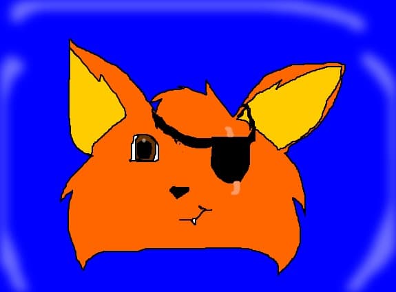 A pirate fox