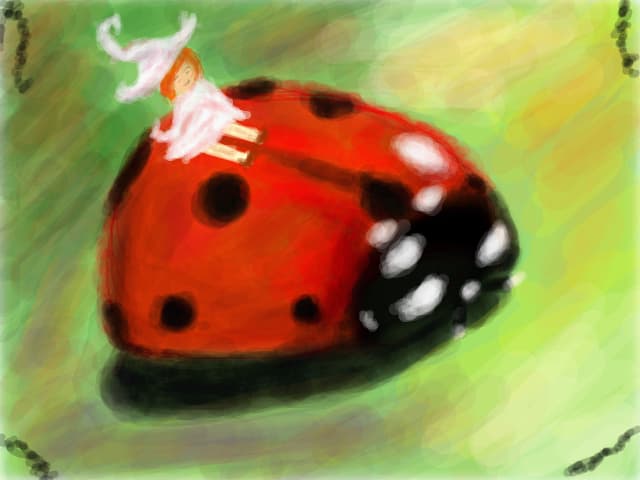 Ladybug.