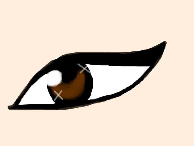 eye