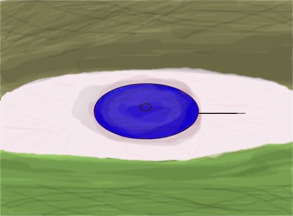 and monsters have eyes