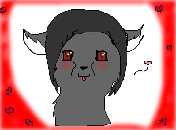 A blak cat