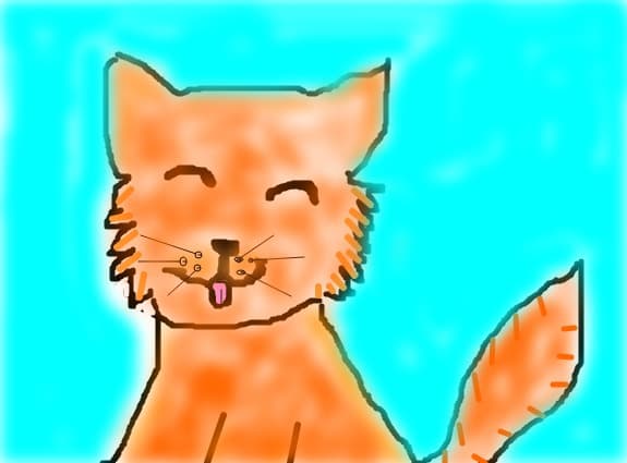 kitty