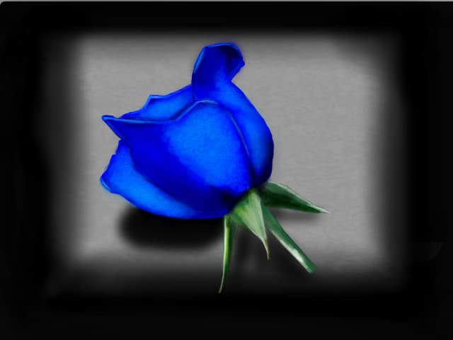 Blue Rose