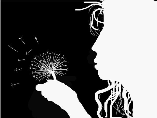 dandilion