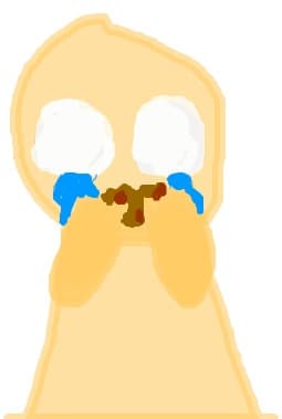 cookie