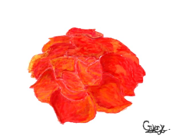 rose