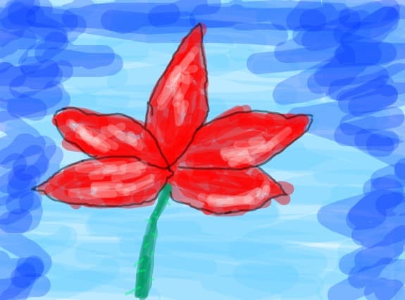 o floare