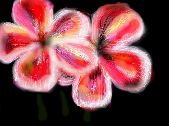 flori