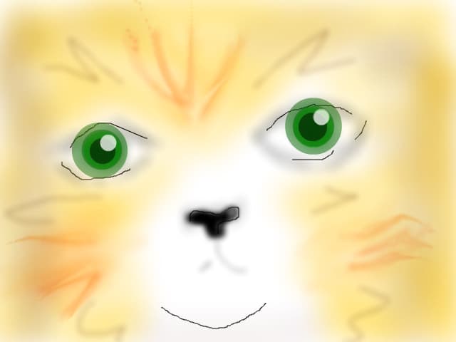 Pisic