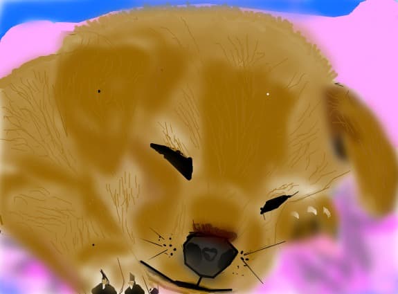 zhuzhu