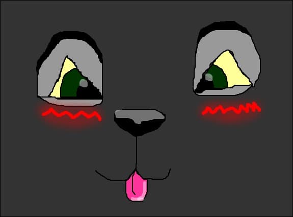 Pupy