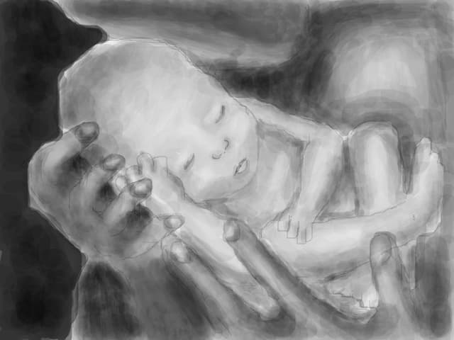 cute baby