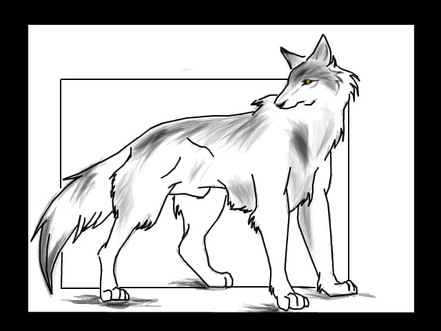 gata vacanta XD new wolf