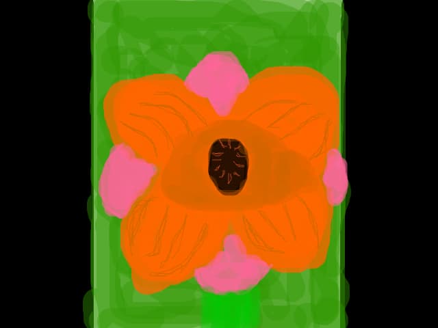 o chiudata floare