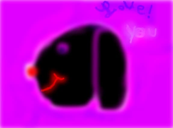catelus