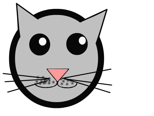 Just a cat