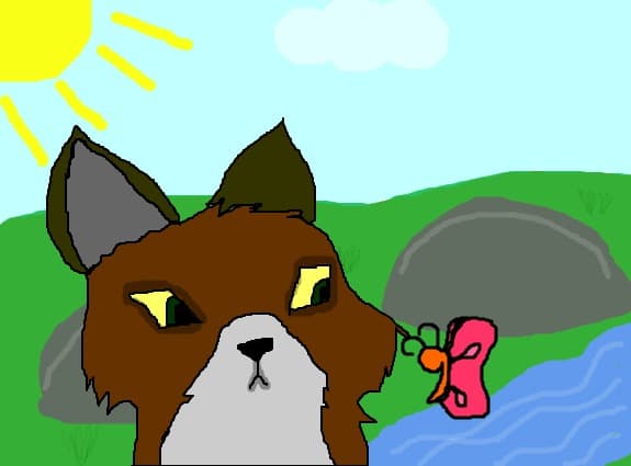 A litle wolf