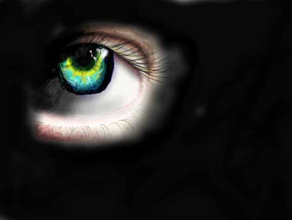 Eye