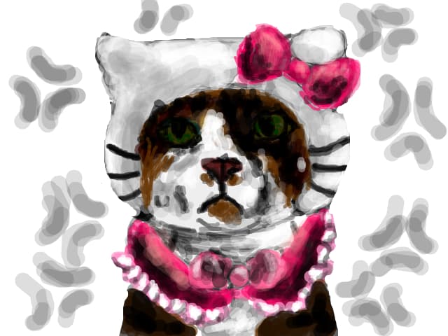eu vroiam sa fiu garfield....nu hello kitty:(