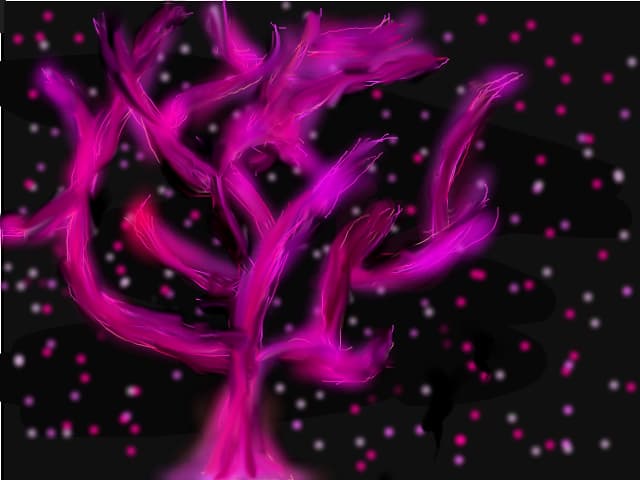 My firt draw