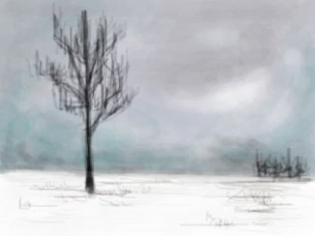 White Silence