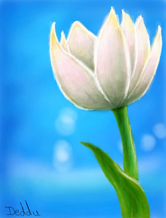 Flower