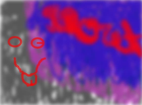 secret