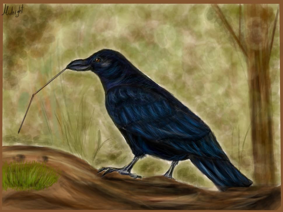 Crow