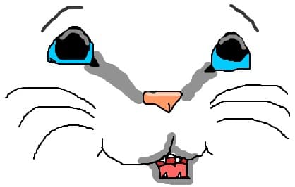 Cute feline face