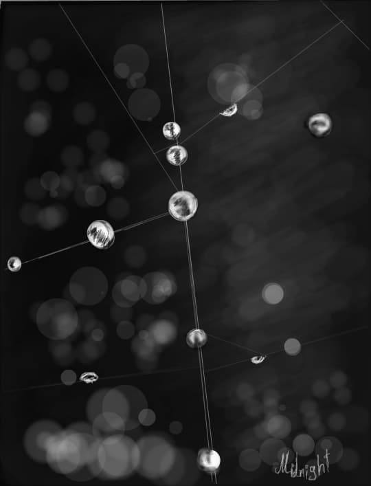 Spider Web