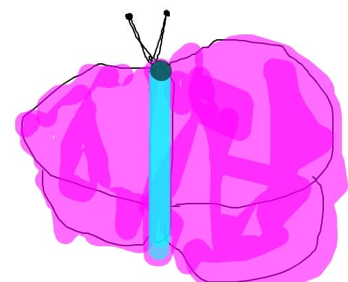 Desen #1570067