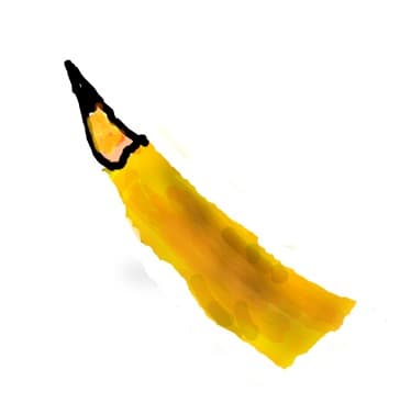 creion
