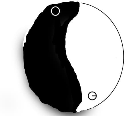Ying Yang