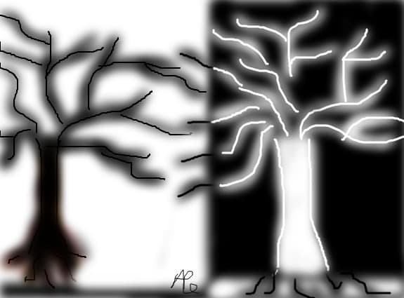 yng-yang  tree