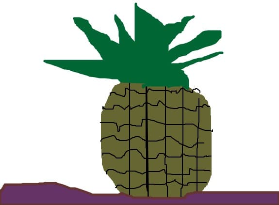 ananas
