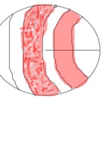 rgfe