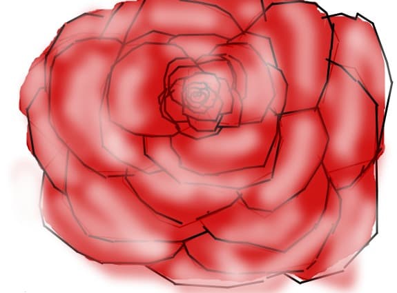 rose