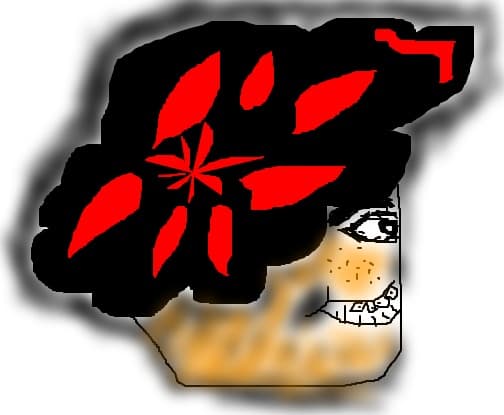 Ermoiu Alex