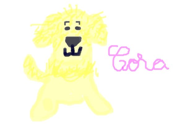 Webkinz Cora