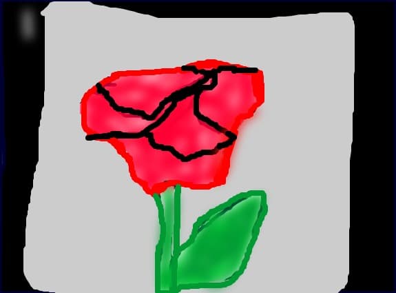 trandafiri