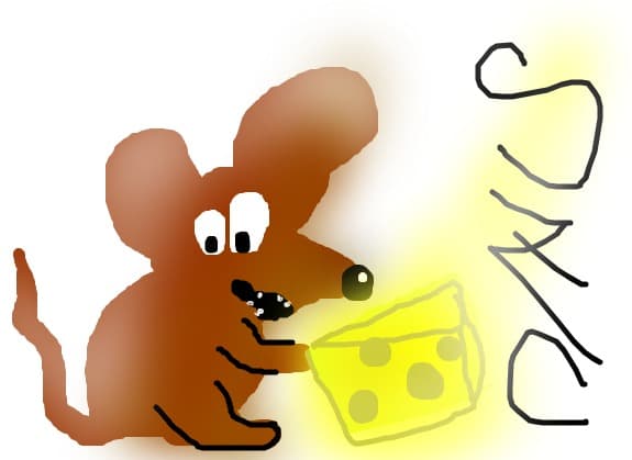 szcheese