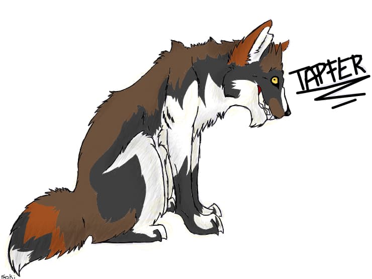 Tapfer