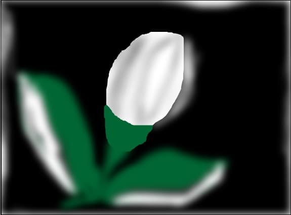 boboc