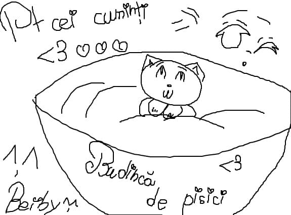 Budinca de pisici xDD