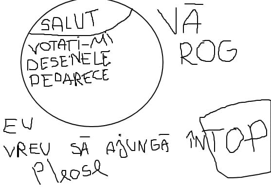 Salut