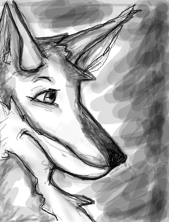 Foxxx